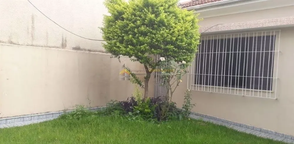 Terreno, 300 m² - Foto 4