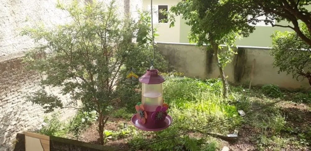 Terreno, 300 m² - Foto 8