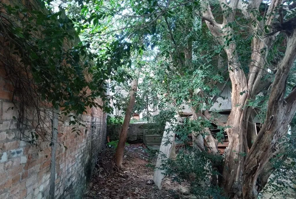 Terreno, 228 m² - Foto 2