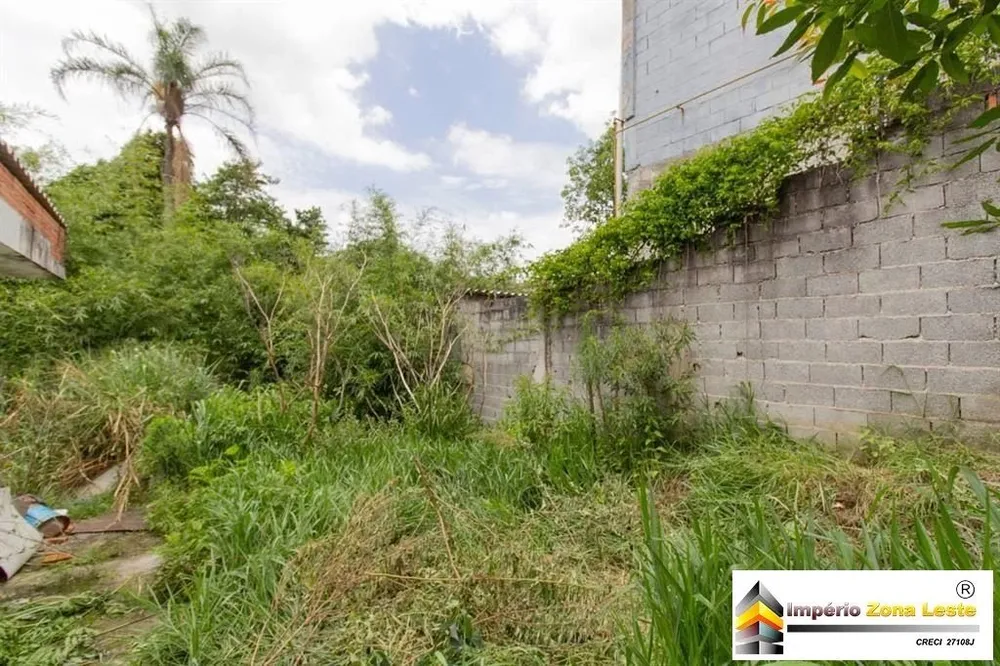 Casa, 5 quartos, 350 m² - Foto 9
