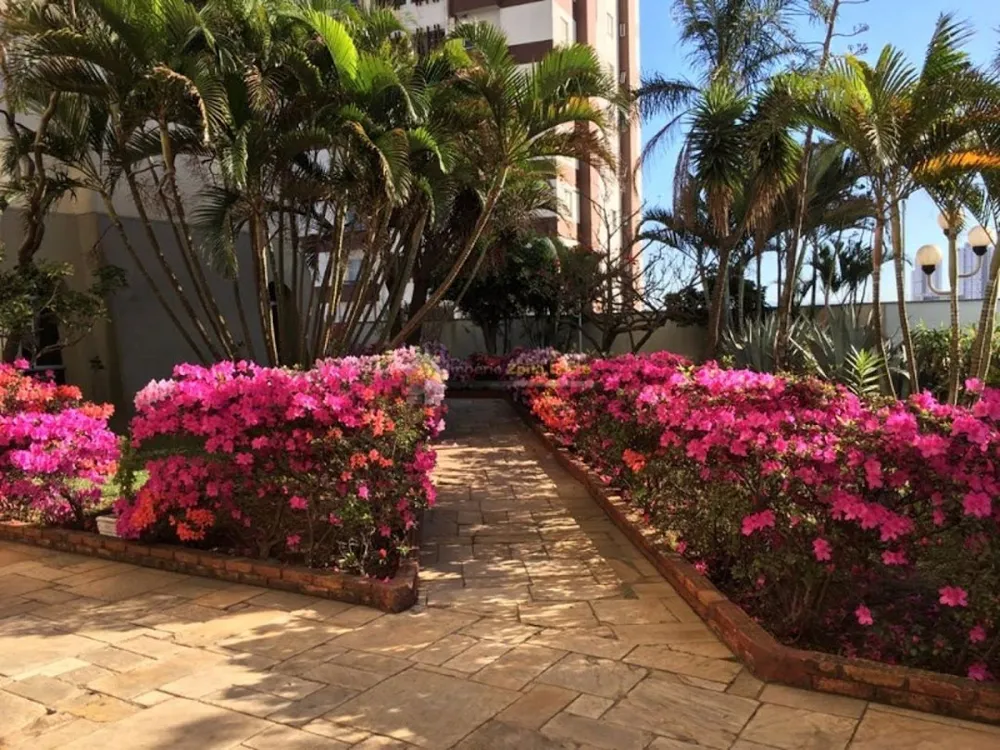 Apartamento, 3 quartos, 65 m² - Foto 5
