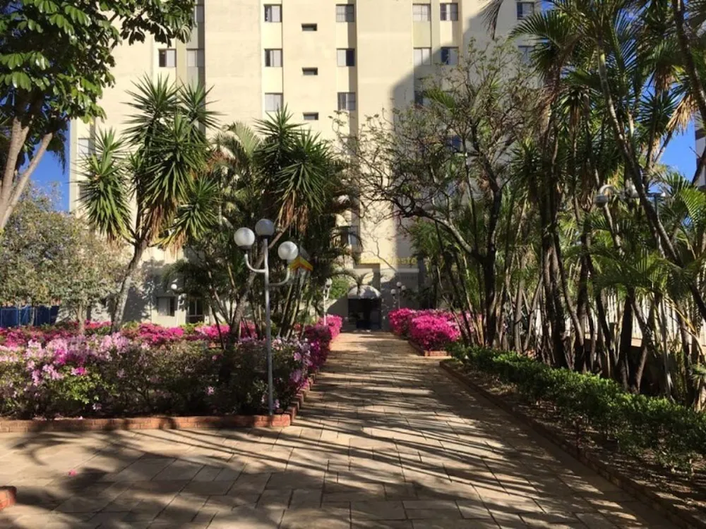 Apartamento, 3 quartos, 65 m² - Foto 1