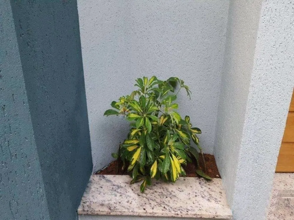 Sobrado, 2 quartos, 57 m² - Foto 9