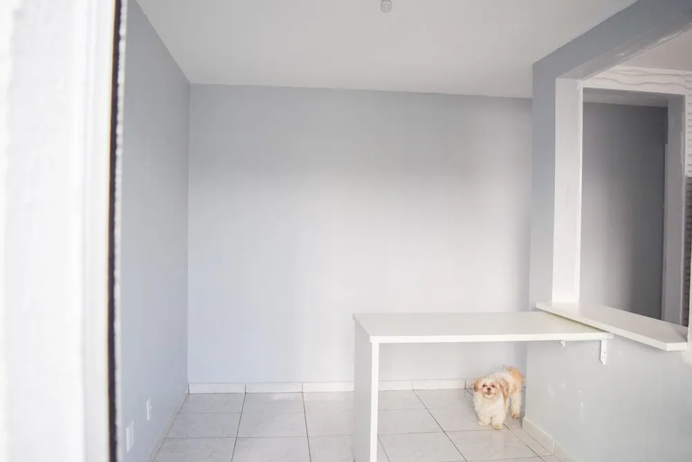 Apartamento, 2 quartos, 45 m² - Foto 2