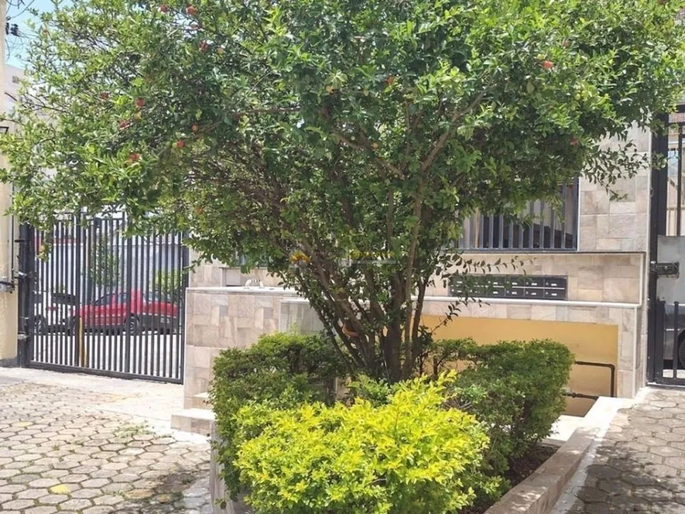 Casa, 2 quartos, 65 m² - Foto 11