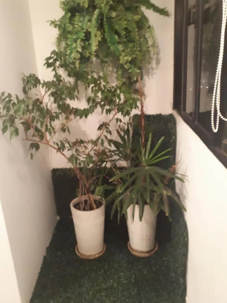 Apartamento, 3 quartos, 180 m² - Foto 1