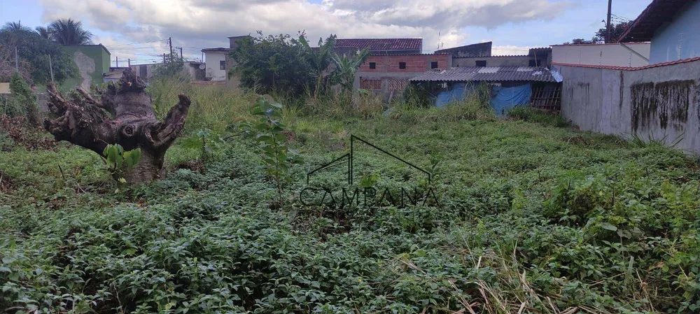 Terreno, 916 m² - Foto 3