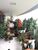 Apartamento, 4 quartos, 330 m² - Foto 3