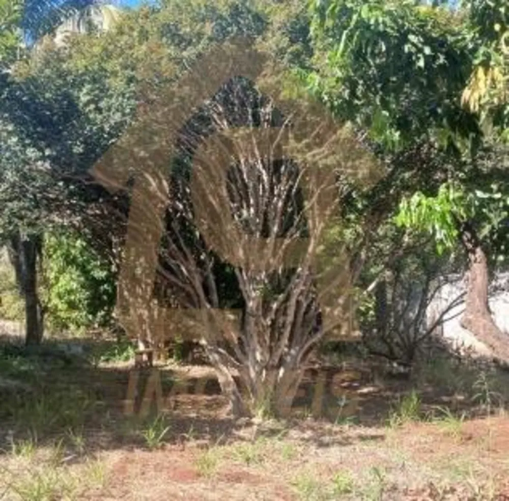 Terreno, 3840 m² - Foto 2