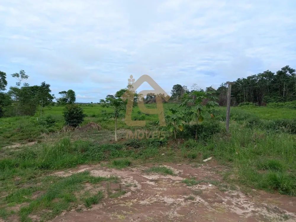 Fazenda, 726 hectares - Foto 4