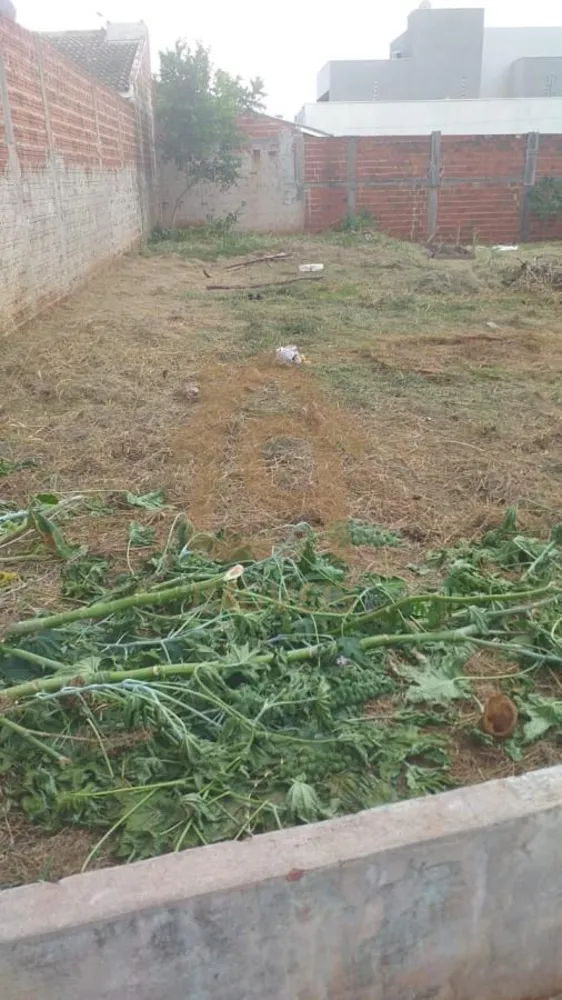 Terreno, 150 m² - Foto 2
