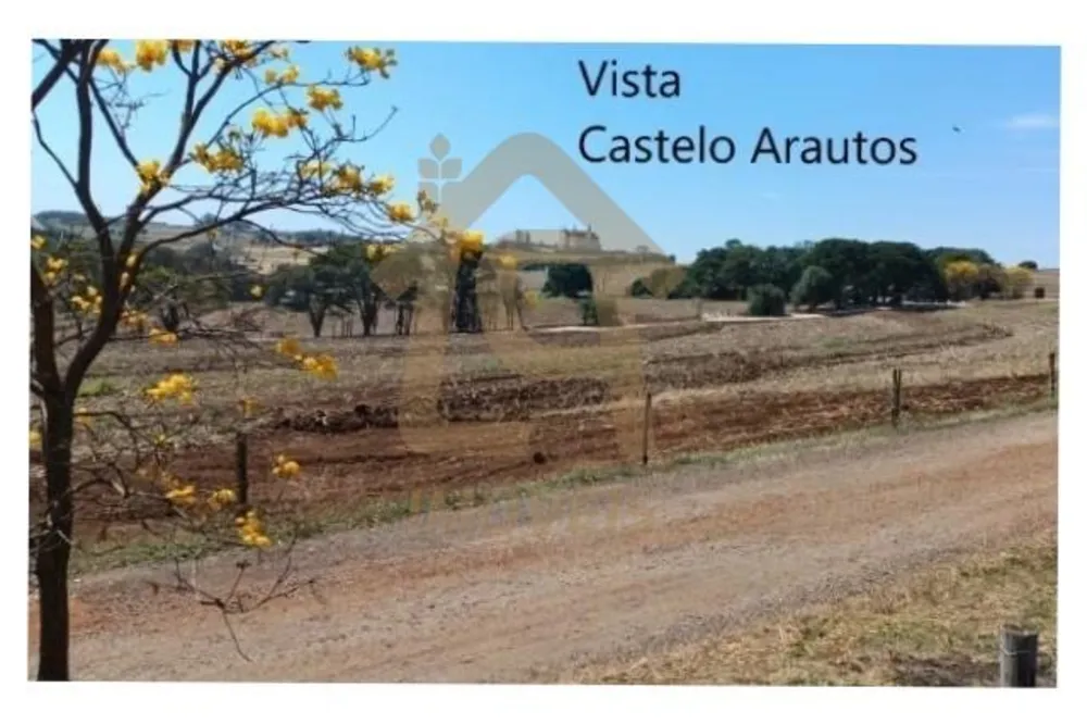 Terreno, 2600 m² - Foto 3