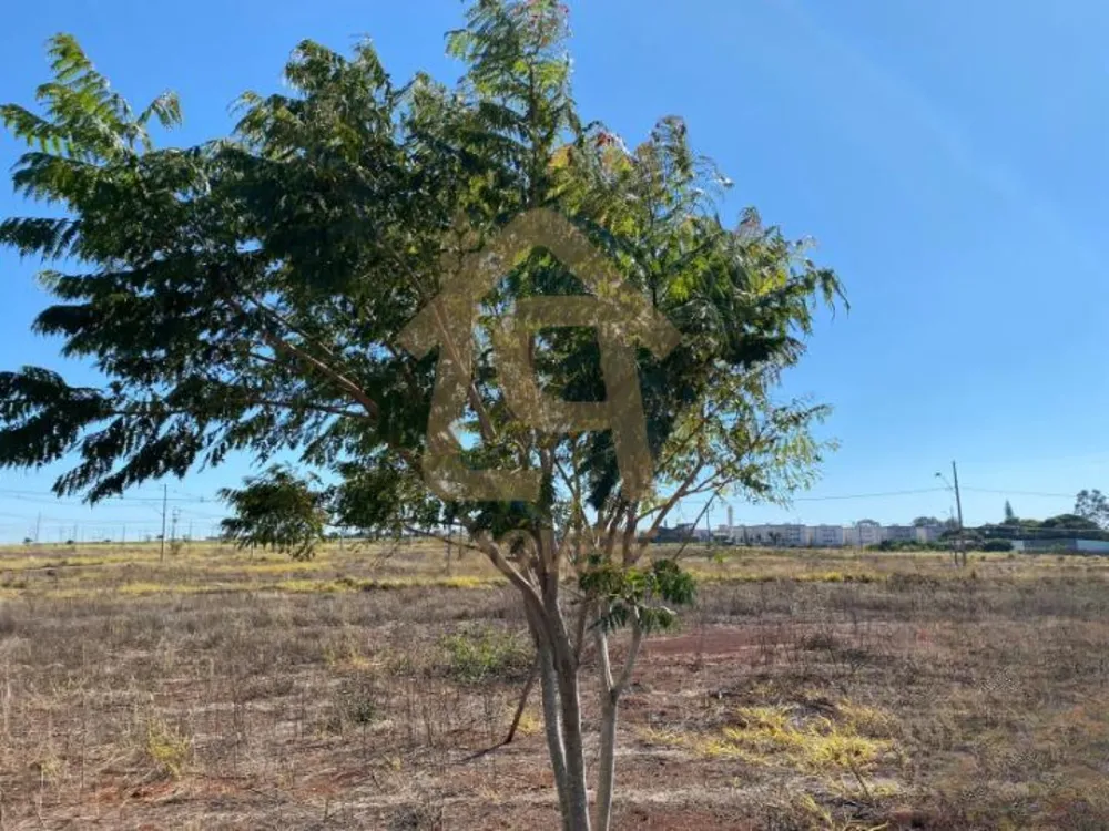 Terreno, 300 m² - Foto 2