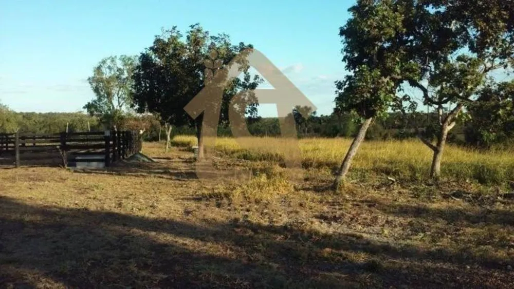 Fazenda, 4500000 hectares - Foto 4