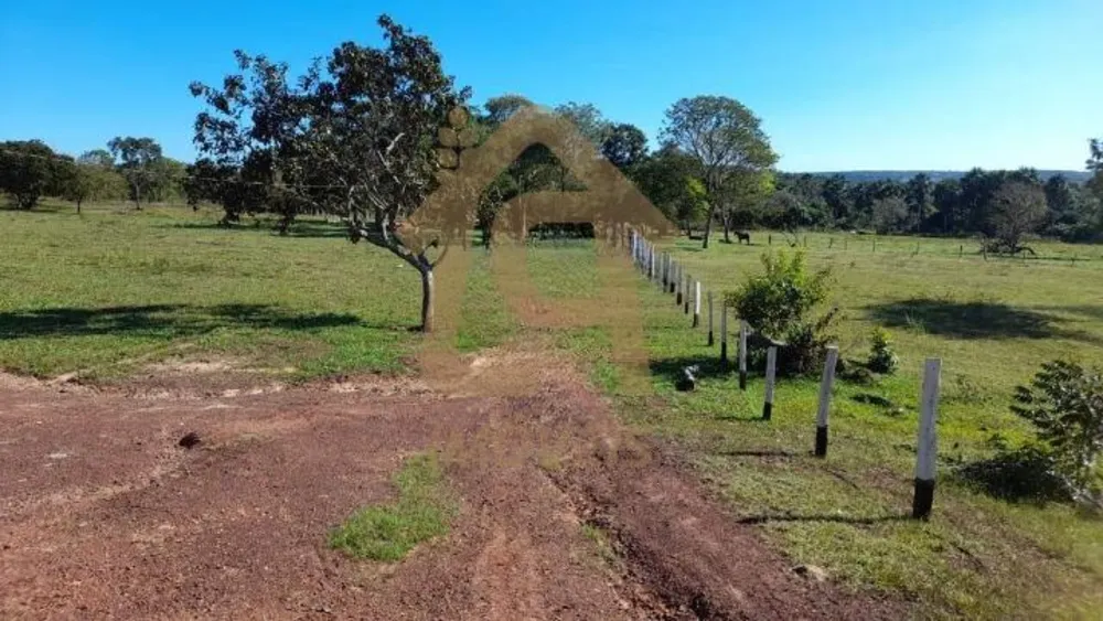 Fazenda, 4500000 hectares - Foto 3