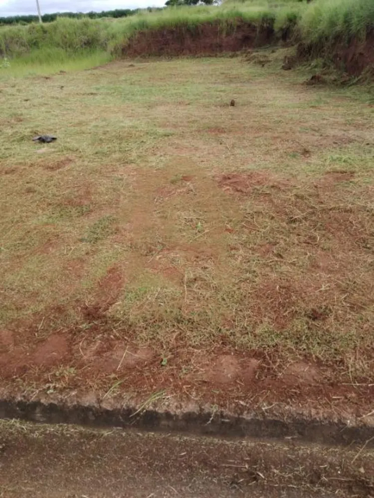 Terreno, 300 m² - Foto 4