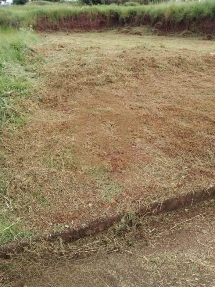 Terreno, 300 m² - Foto 2