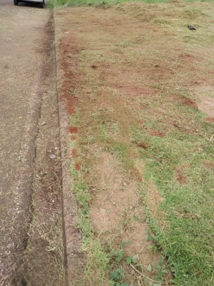 Terreno, 300 m² - Foto 1