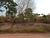 Terreno - Foto 3