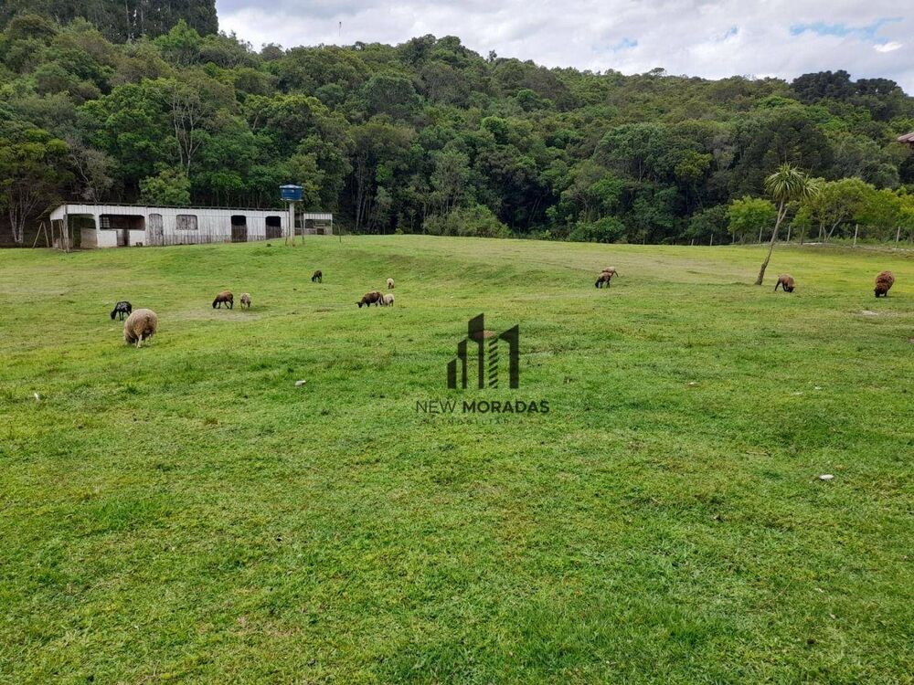 Chácara à venda com 2 quartos, 100m² - Foto 19
