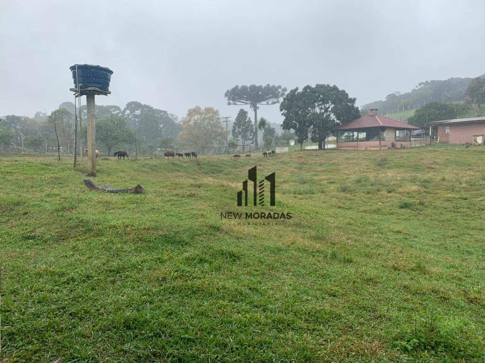 Chácara à venda com 2 quartos, 100m² - Foto 12