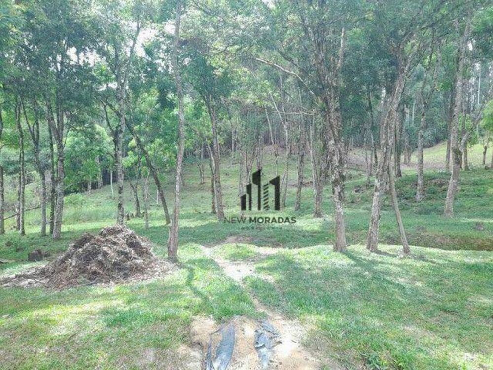 Chácara à venda com 2 quartos, 100m² - Foto 5