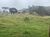 Chácara, 2 quartos, 3 hectares - Foto 13
