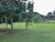 Chácara, 2 quartos, 3 hectares - Foto 6