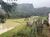 Chácara, 2 quartos, 3 hectares - Foto 1