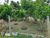 Chácara, 2 quartos, 3 hectares - Foto 7