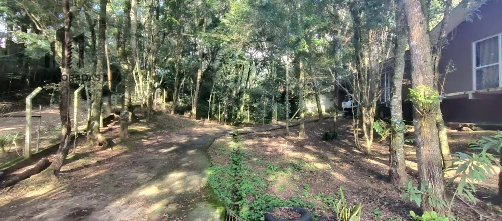 Casa, 3 quartos, 300 m² - Foto 12