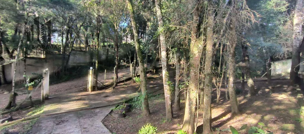Casa, 3 quartos, 300 m² - Foto 11