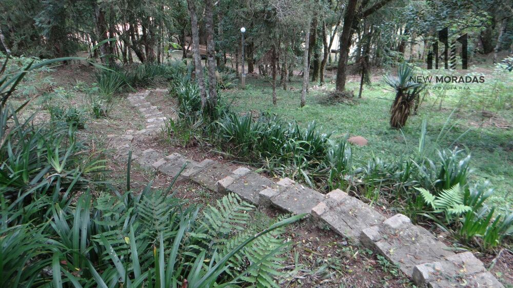 Chácara à venda com 3 quartos, 10900M2 - Foto 5