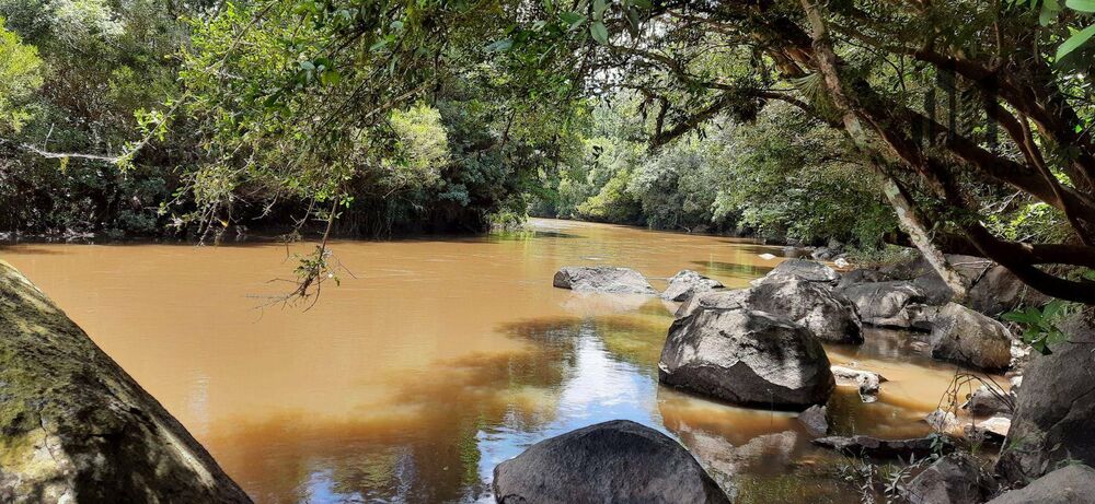 Chácara à venda com 3 quartos, 10900M2 - Foto 8
