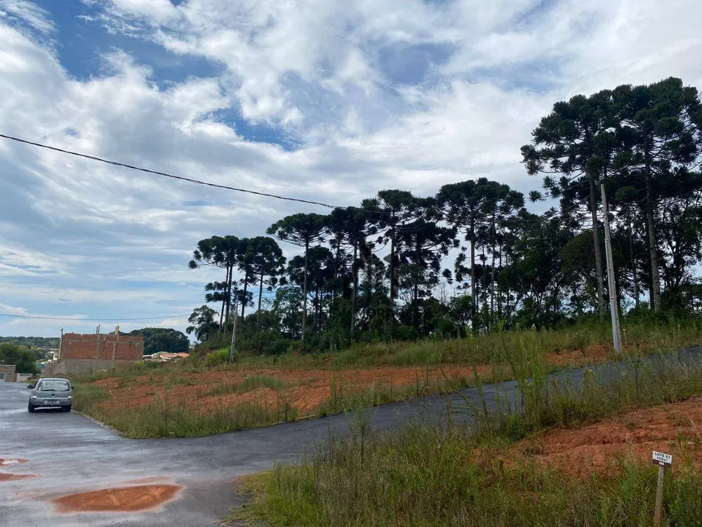 Loteamento e Condomínio à venda, 120M2 - Foto 6