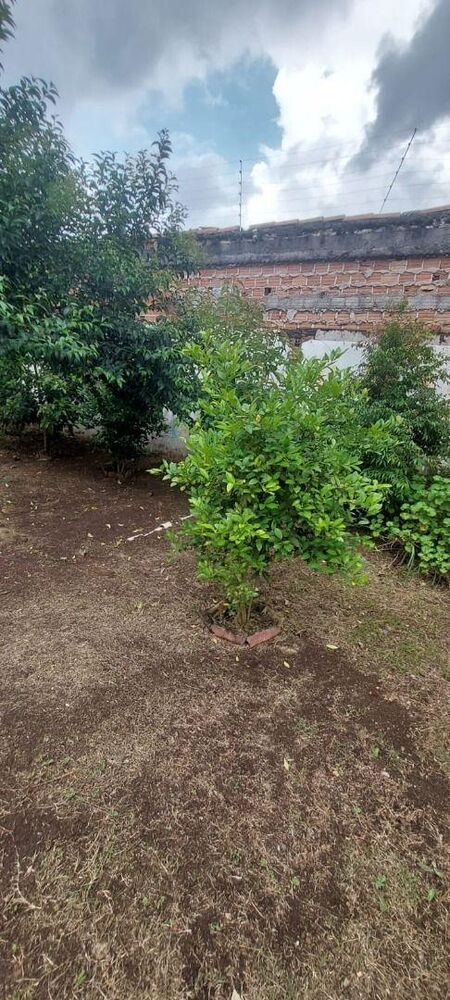 Terreno à venda, 360M2 - Foto 2