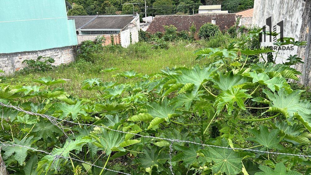 Terreno à venda, 381M2 - Foto 2