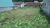 Terreno, 381 m² - Foto 1