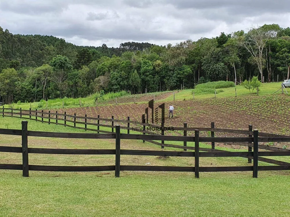 Chácara, 3 quartos, 2 hectares - Foto 4