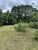 Chácara, 4 quartos, 1 hectares - Foto 2
