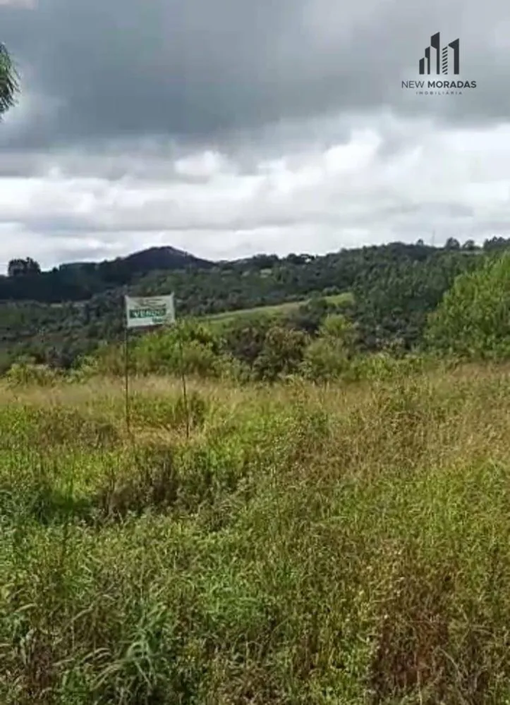 Terreno, 3 hectares - Foto 3
