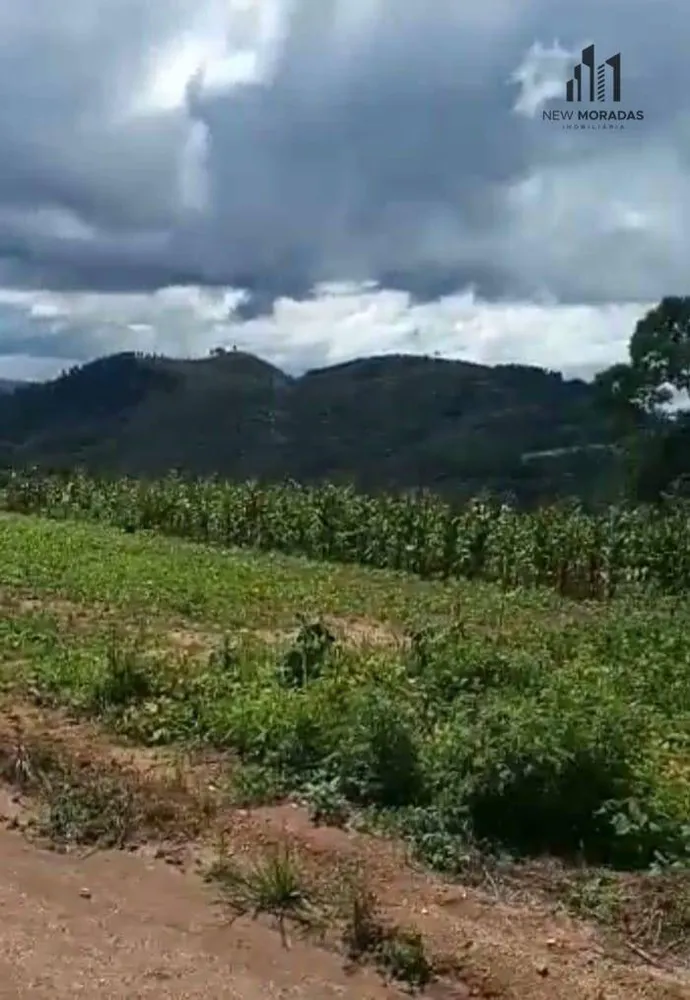 Terreno, 3 hectares - Foto 4