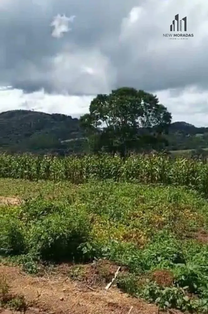 Terreno, 3 hectares - Foto 1