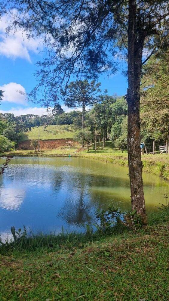 Terreno à venda, 25400M2 - Foto 2