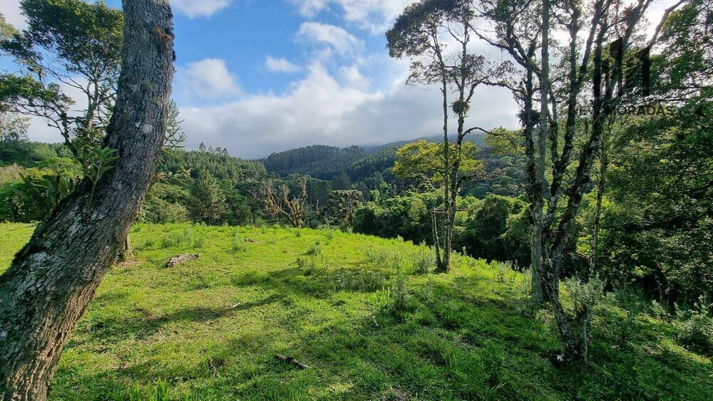 Terreno à venda, 25400M2 - Foto 4