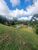 Terreno, 3 hectares - Foto 3