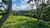 Terreno, 3 hectares - Foto 4