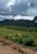 Terreno, 3 hectares - Foto 4