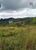 Terreno, 3 hectares - Foto 3
