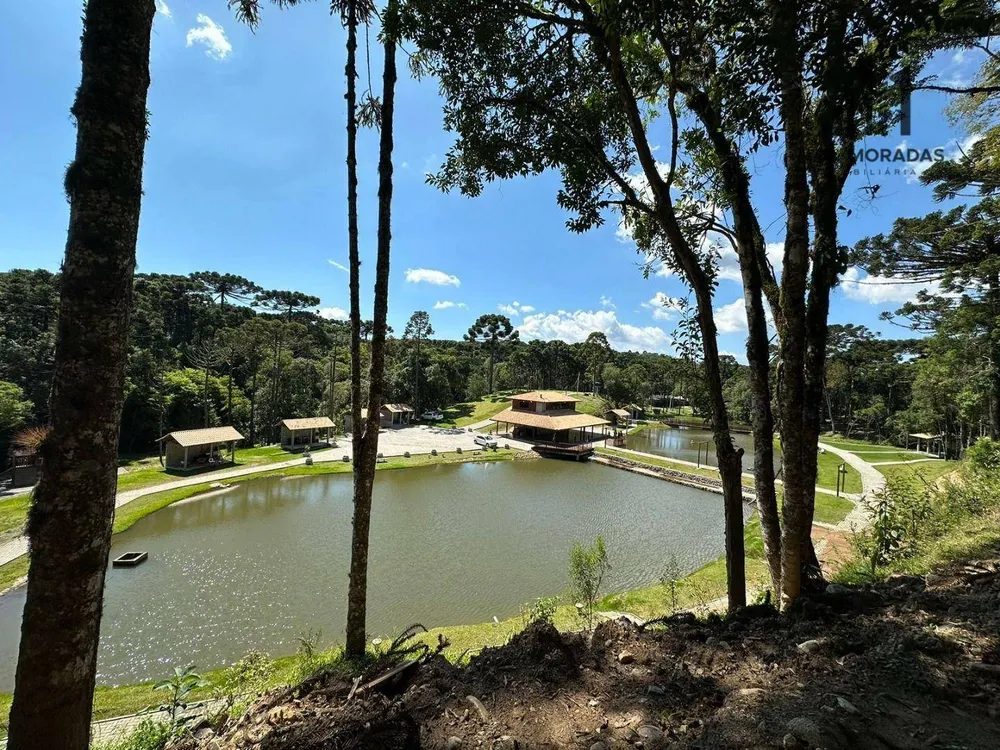 Chácara, 2 hectares - Foto 8
